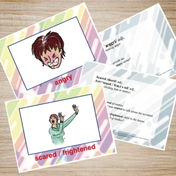 Flash Cards Flascards Nivel I